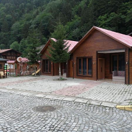 Zeren Apart Bungalov Uzungöl Extérieur photo