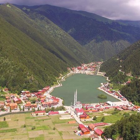 Zeren Apart Bungalov Uzungöl Extérieur photo