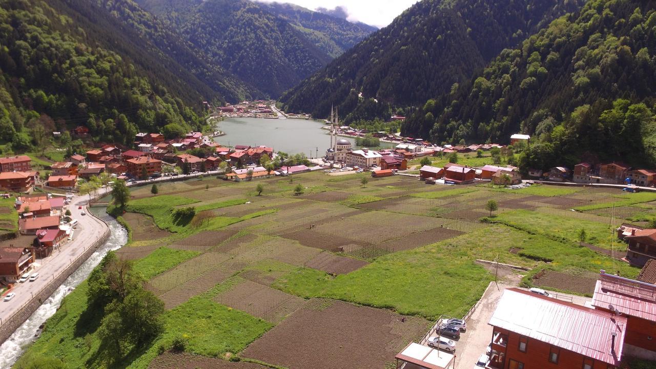 Zeren Apart Bungalov Uzungöl Extérieur photo